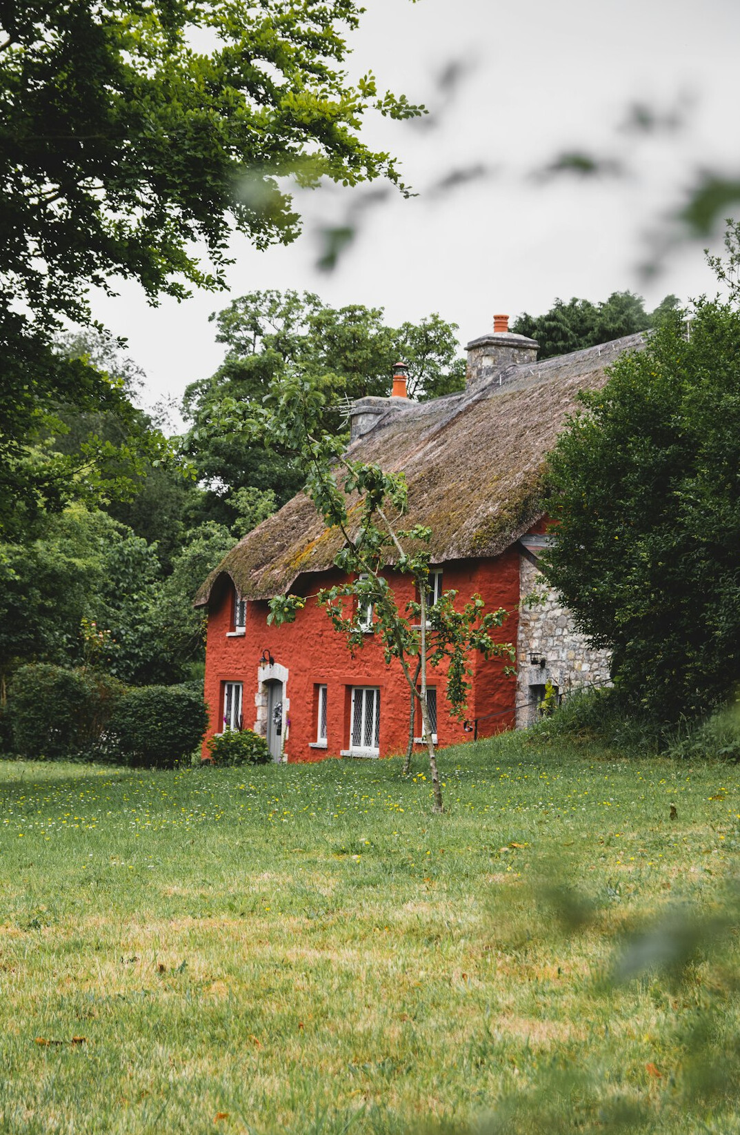 Traditional thatched-roof Danish countryside house surrounded by greenery